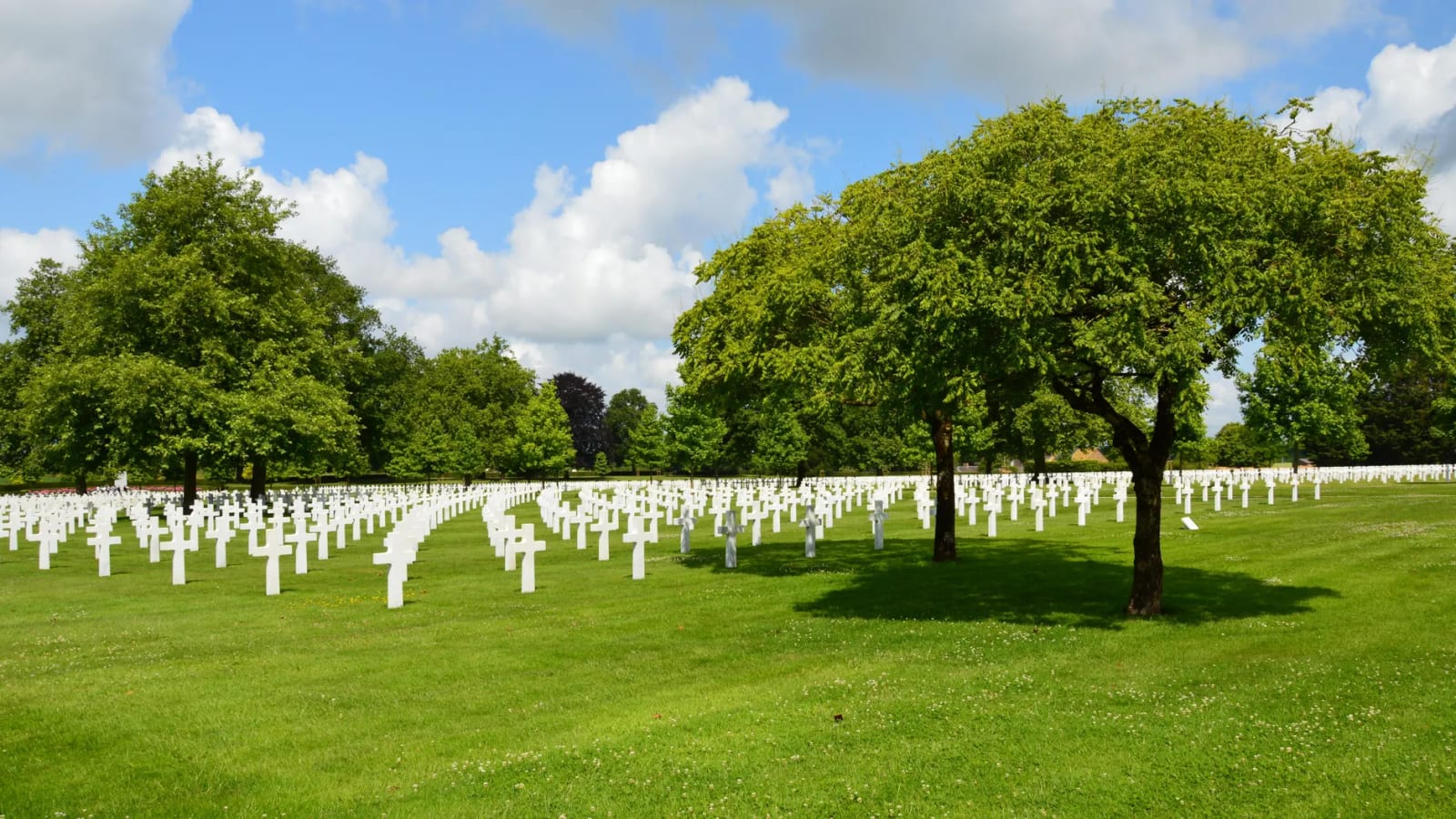 Croix blanches au cimetière américain de Normandie à Montjoie-Saint-Martin