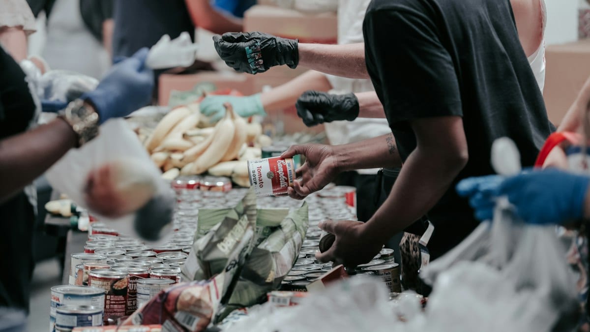 volunteers sorting canned food donations