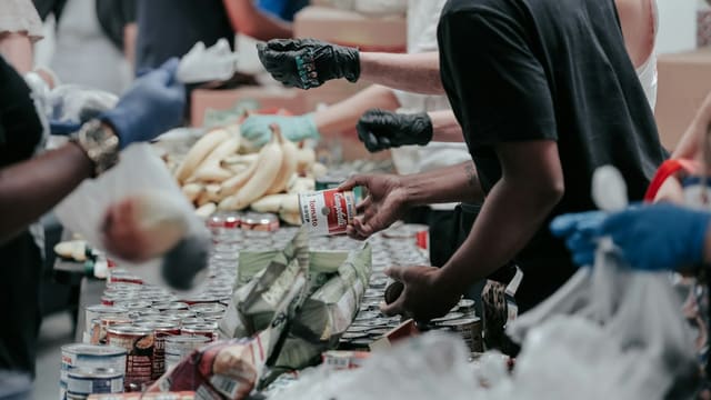 volunteers sorting canned food donations