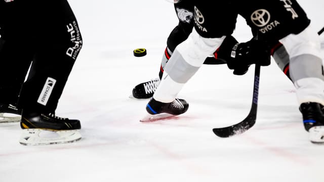 people playing ice hockey