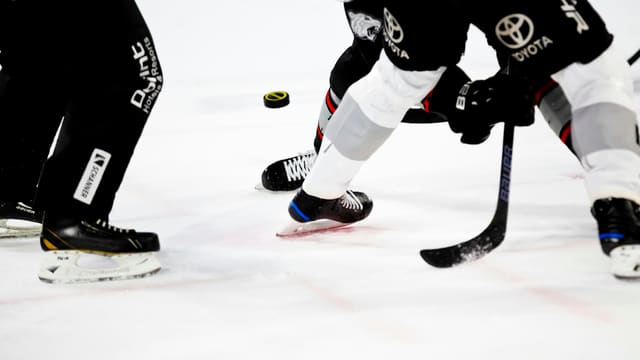 Mise en jeu sur la glace : patins, crosses et palet au centre de l'image lors d'un match de hockey.