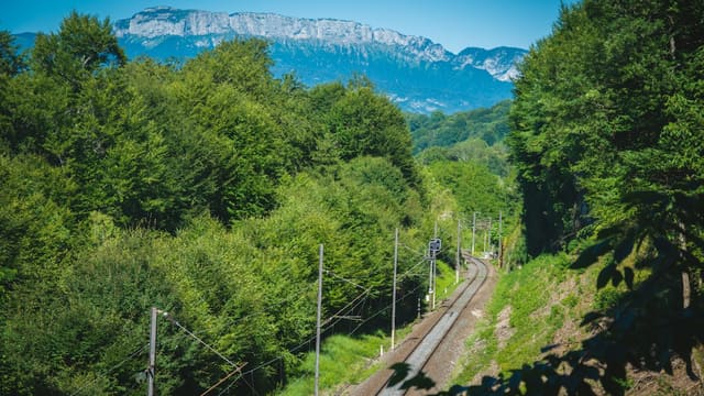 Voie ferrée électrifiée traversant une forêt dense, avec des montagnes en arrière-plan