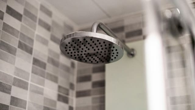 grey stainless steel shower head