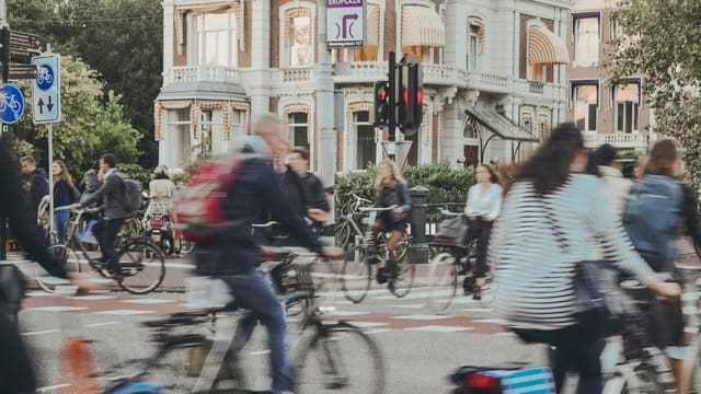 Personnes à vélo sur route en journée